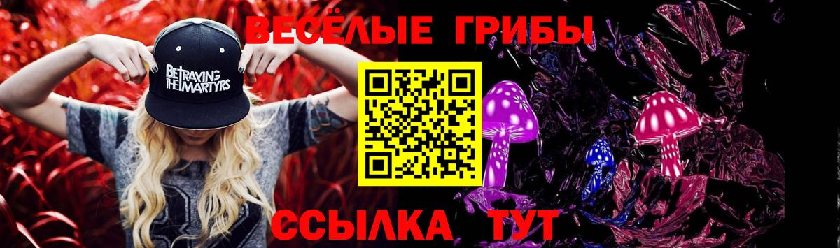 Кинель  закладка  Вход с VPN  Галлюциногенные грибы Psilocybe 
